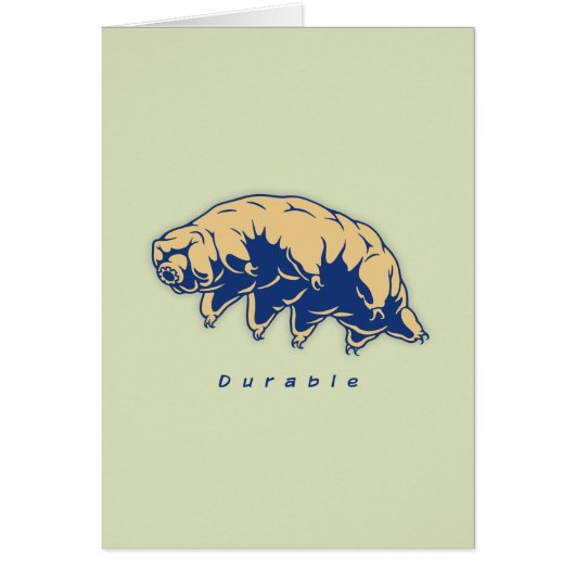 Durable - Tardigrade Cards (Front)