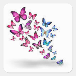 Durable & Weatherproof Square Sticker