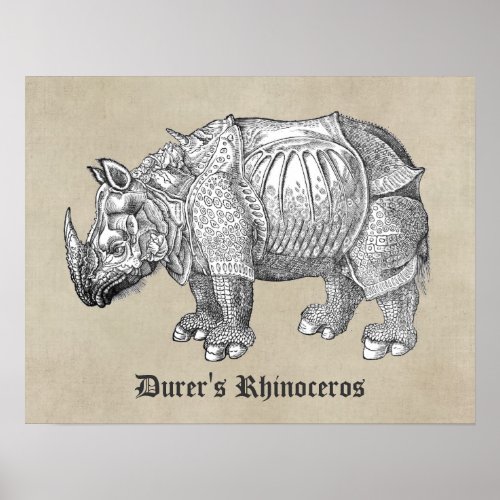 Durer Rhino Poster