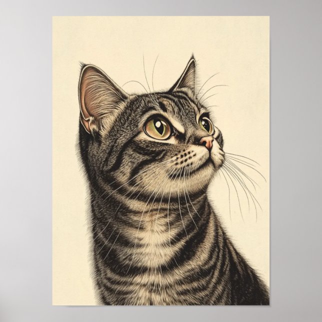Dürer’s Tabby Treasures 1 Poster (Front)