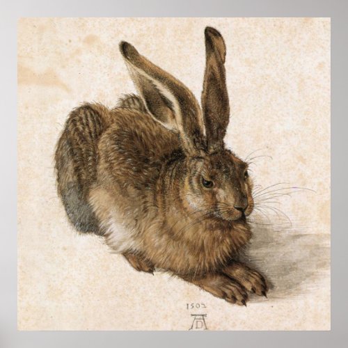 Durer Young Hare Poster