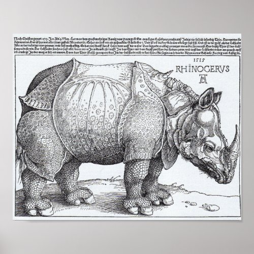 Drers Rhinoceros Poster