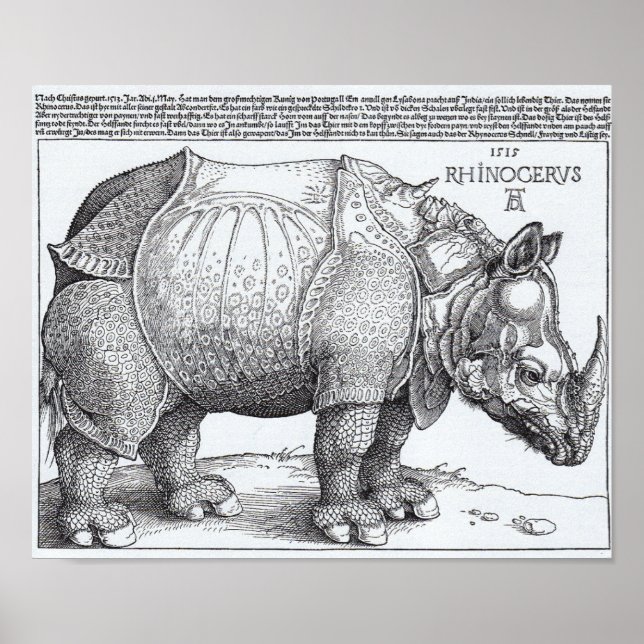 Dürer's Rhinoceros Poster (Front)
