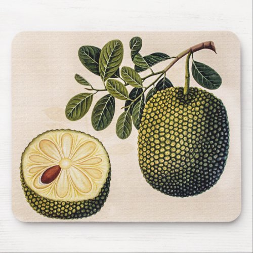 Durian Fruit and Foliage  Mouse Pad