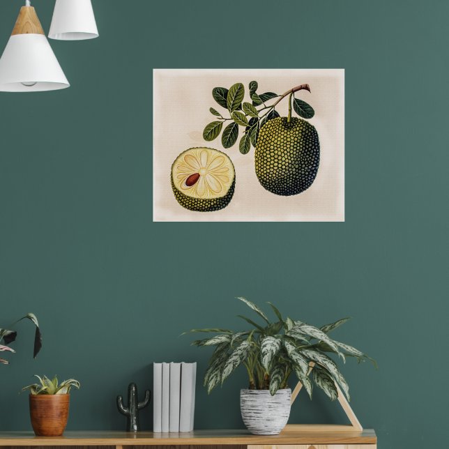 Durian Fruit and Foliage Vintage Botanical Art Poster (Living Room 1)