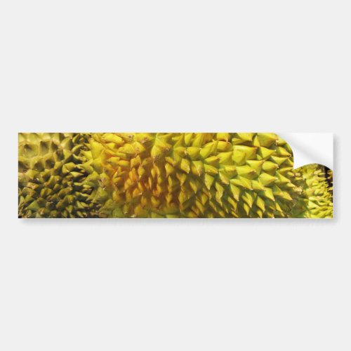 Durian Fruit Bumper Sticker