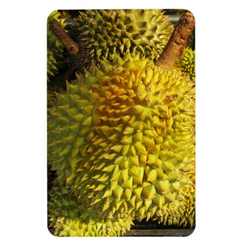Durian Fruit Magnet