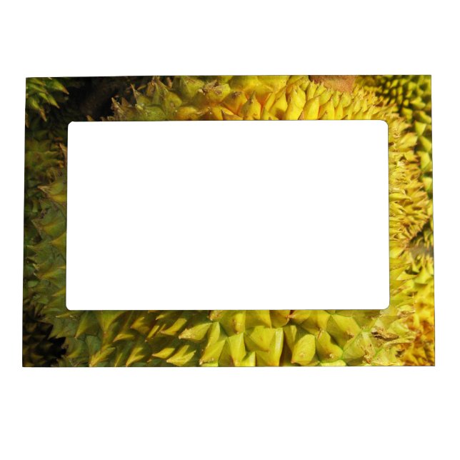 Durian Fruit Magnetic Frame (Front)