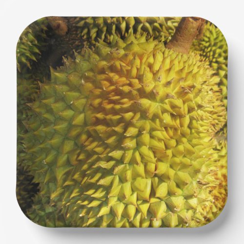 Durian Fruit Paper Plates