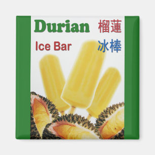 Durian Ice Bar Tropical Fruit Popsicle Magnet