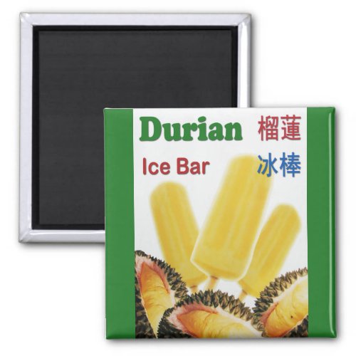 Durian Ice Bar Tropical Fruit Popsicle Magnet
