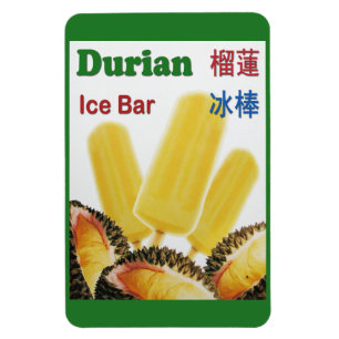 Durian Ice Bar Tropical Fruit Popsicle Magnet