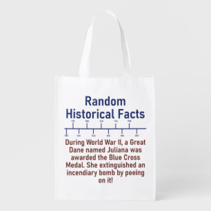 During WWII A Great Dane - History Fact Grocery Bag