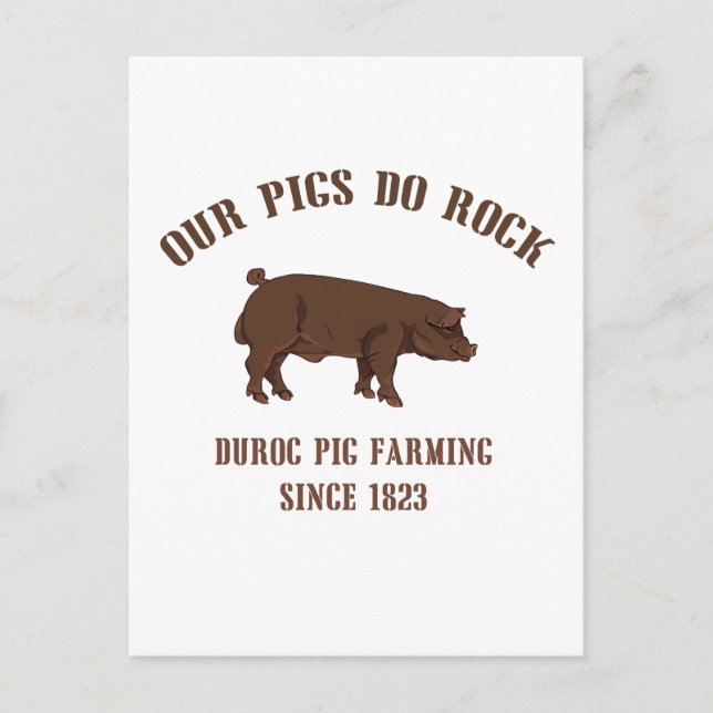 Duroc pigs do rock - since 1923 postcard (Front)