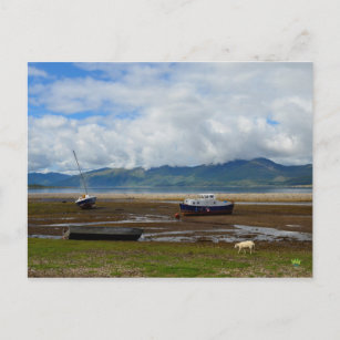 Duror Coast Postcard