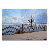Dusk at Jupiter Beach (Front Horizontal)