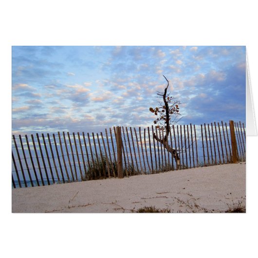 Dusk at Jupiter Beach Cards (Front Horizontal)