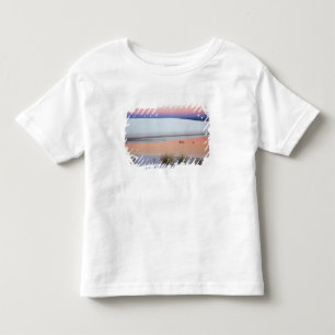 Dusk sky reflected in pool of water from toddler t-shirt