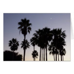 Dusk with Palm Trees Tropical Scene Card