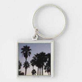 Dusk with Palm Trees Tropical Scene Keychain