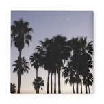 Dusk with Palm Trees Tropical Scene Magnet