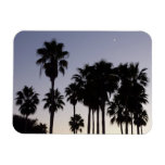 Dusk with Palm Trees Tropical Scene Magnet