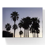 Dusk with Palm Trees Tropical Scene Paperweight