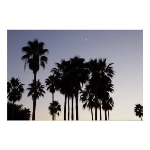 Dusk with Palm Trees Tropical Scene Poster
