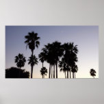 Dusk with Palm Trees Tropical Scene Poster