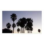 Dusk with Palm Trees Tropical Scene Poster