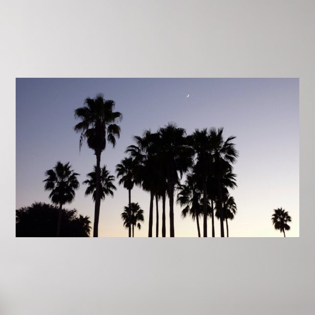 Dusk with Palm Trees Tropical Scene Poster (Front)