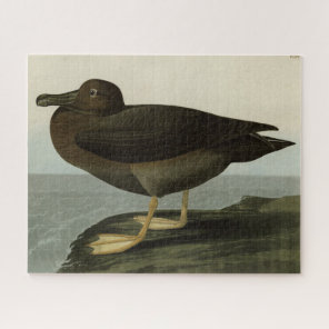Dusky Albatross from Audubon's Birds of America Jigsaw Puzzle