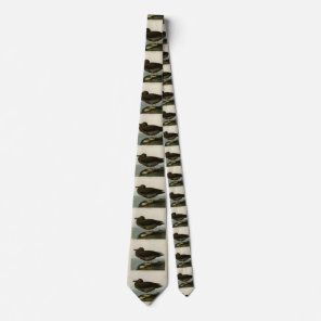 Dusky Albatross from Audubon's Birds of America Neck Tie