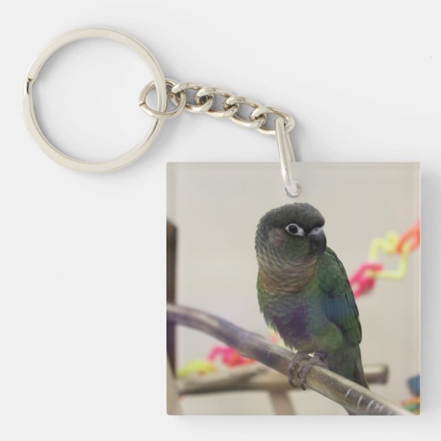 Dusky conure keychain (Front)