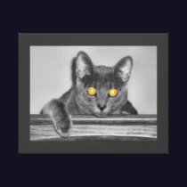 Dusky Gold Canvas Print
