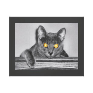 Dilation Art u0026 Wall Décor  Zazzle
