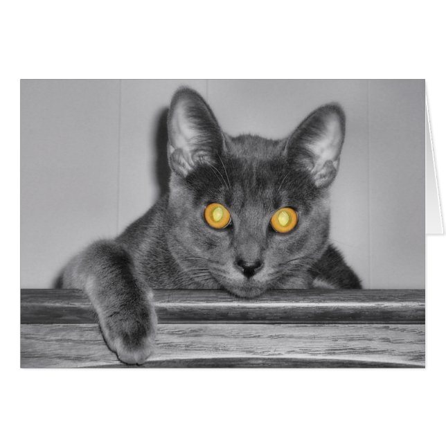 Dusky Gold Card (Front Horizontal)