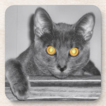 Dusky Gold Cork Coaster