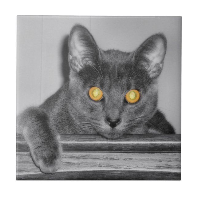 Dusky Gold Decorative Tile (Front)