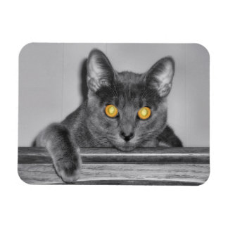 Dusky Gold Flexible Magnet
