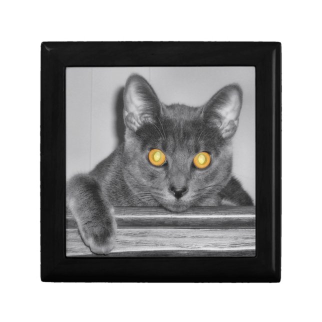 Dusky Gold Gift Box (Front)