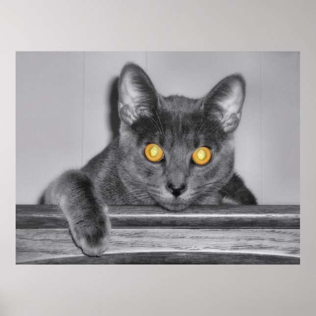 Dusky Gold Print (Front)