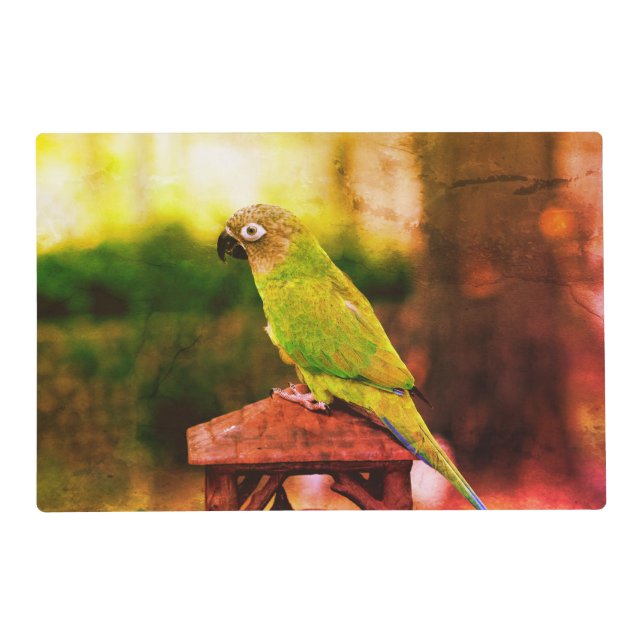 Dusky Headed Conure Parrot Abstract   Placemat (Front)