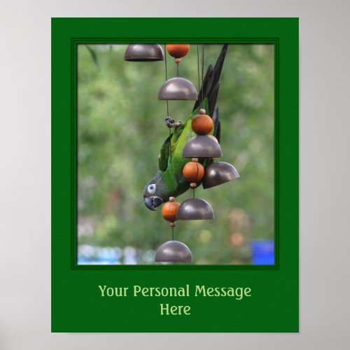 Dusky Headed Conure Parrot Cute Personalized Poster