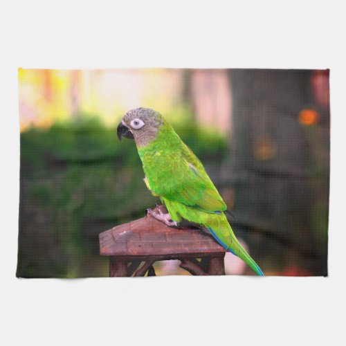 Dusky Headed Conure Parrot   Kitchen Towel