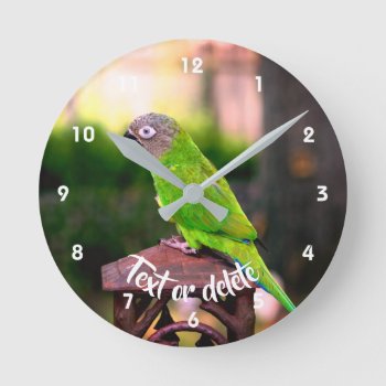 Dusky Headed Conure Parrot Personalized Round Clock by SmilinEyesTreasures at Zazzle