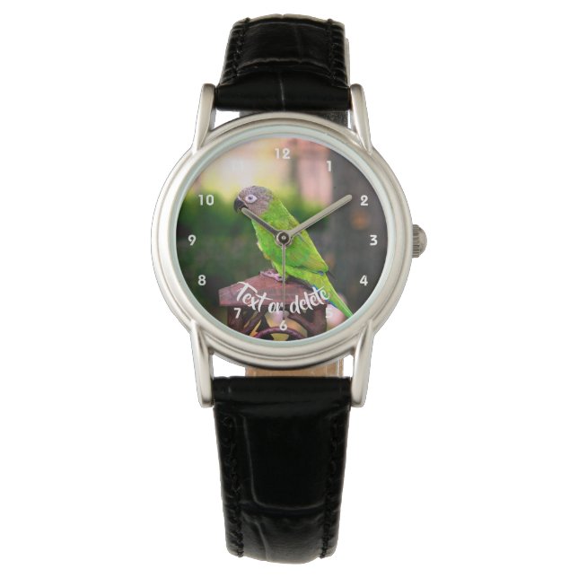 Dusky Headed Conure Parrot Personalized Watch (Front)