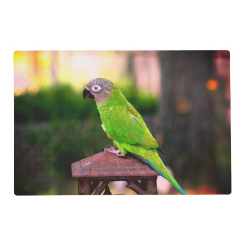 Dusky Headed Conure Parrot    Placemat