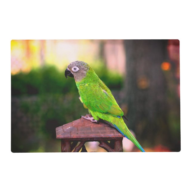Dusky Headed Conure Parrot    Placemat (Front)