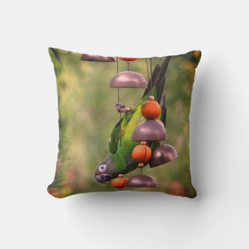 Dusky Headed Conure Parrot Upside Down  Throw Pillow